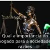Qual a importância do advogado para a sociedade: 6 razões
