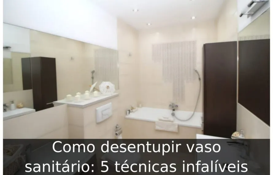Como desentupir vaso sanitário