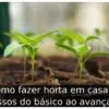 Como fazer horta em casa: 7 passos do básico ao avançado