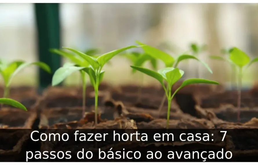 Como fazer horta em casa