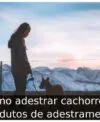 Como adestrar cachorro: 4 produtos de adestramento