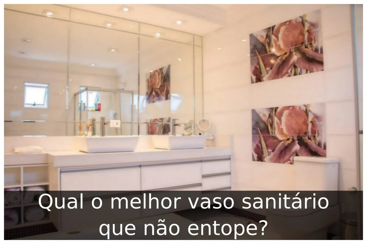 Qual o melhor vaso sanitário que não entope? - Portal Útil