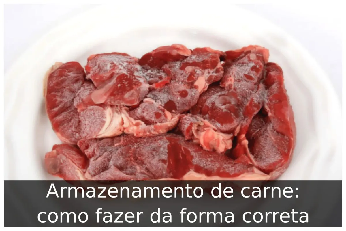 Armazenamento de carne: como fazer da forma correta