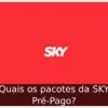 Quais os pacotes da SKY Pré-Pago? Quais os pacotes da SKY Pré-Pago?