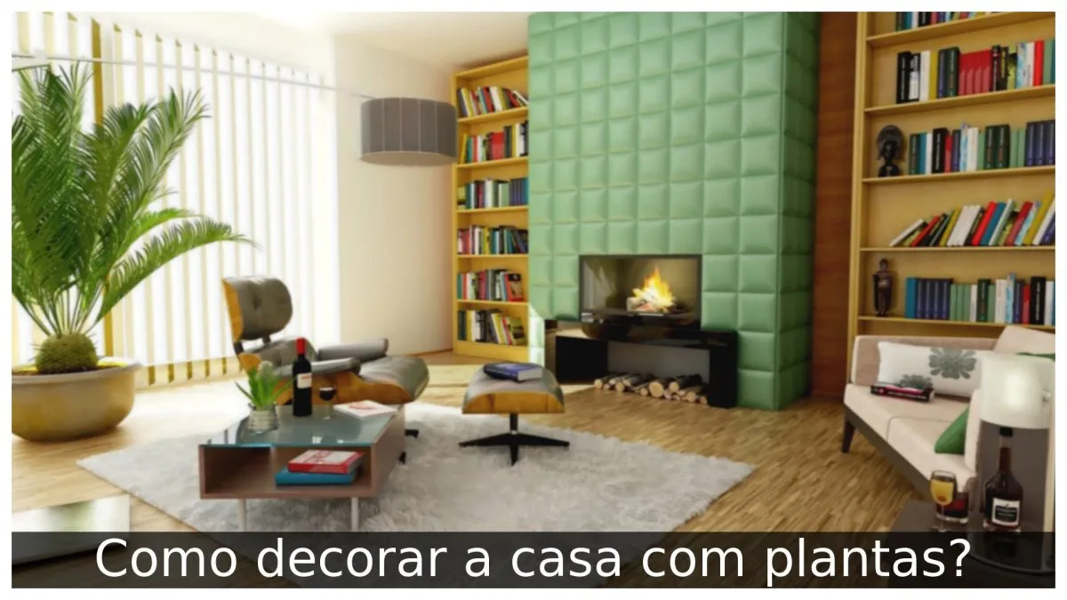 Como decorar a casa com plantas?