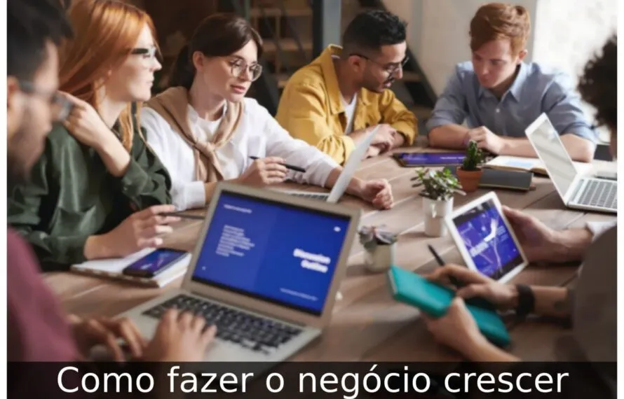 Como fazer o negócio crescer