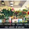 Como conservar rosas naturais no vaso: 6 dicas