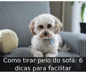 Como tirar pelo do sofá: 6 dicas para facilitar Como tirar pelo do sofá