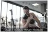 Qual o melhor Whey Protein?