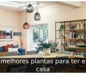 Melhores plantas para ter em casa