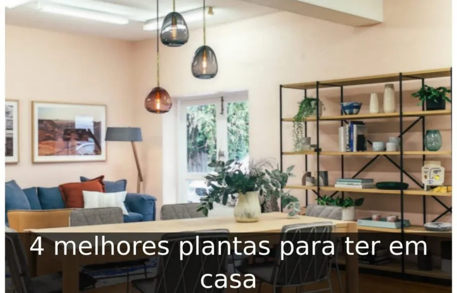 Melhores plantas para ter em casa