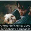 Cachorro deficiente: tipos de deficiências e cuidados