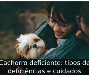 Cachorro deficiente