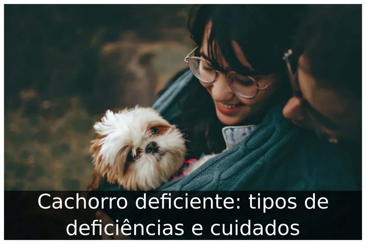 Cachorro deficiente: tipos de deficiências e cuidados
