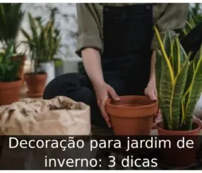 Decoração para jardim de inverno