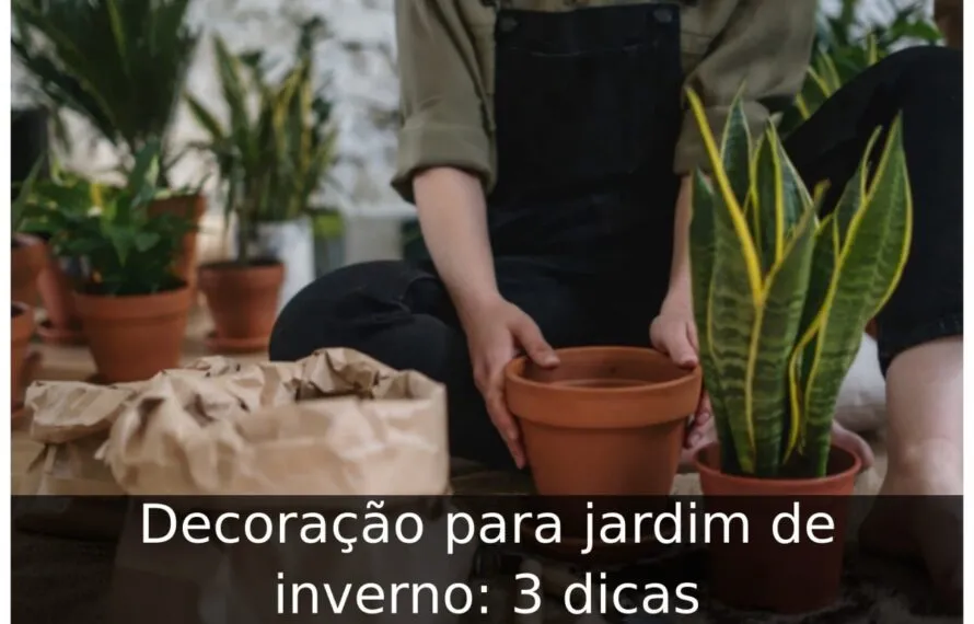 Decoração para jardim de inverno: 3 dicas Decoração para jardim de inverno