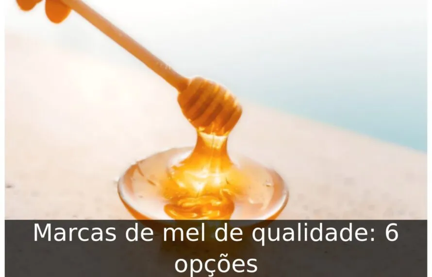 Marcas de mel de qualidade: 6 opções Marcas de mel de qualidade