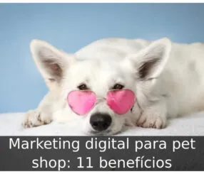 Marketing digital para pet shop