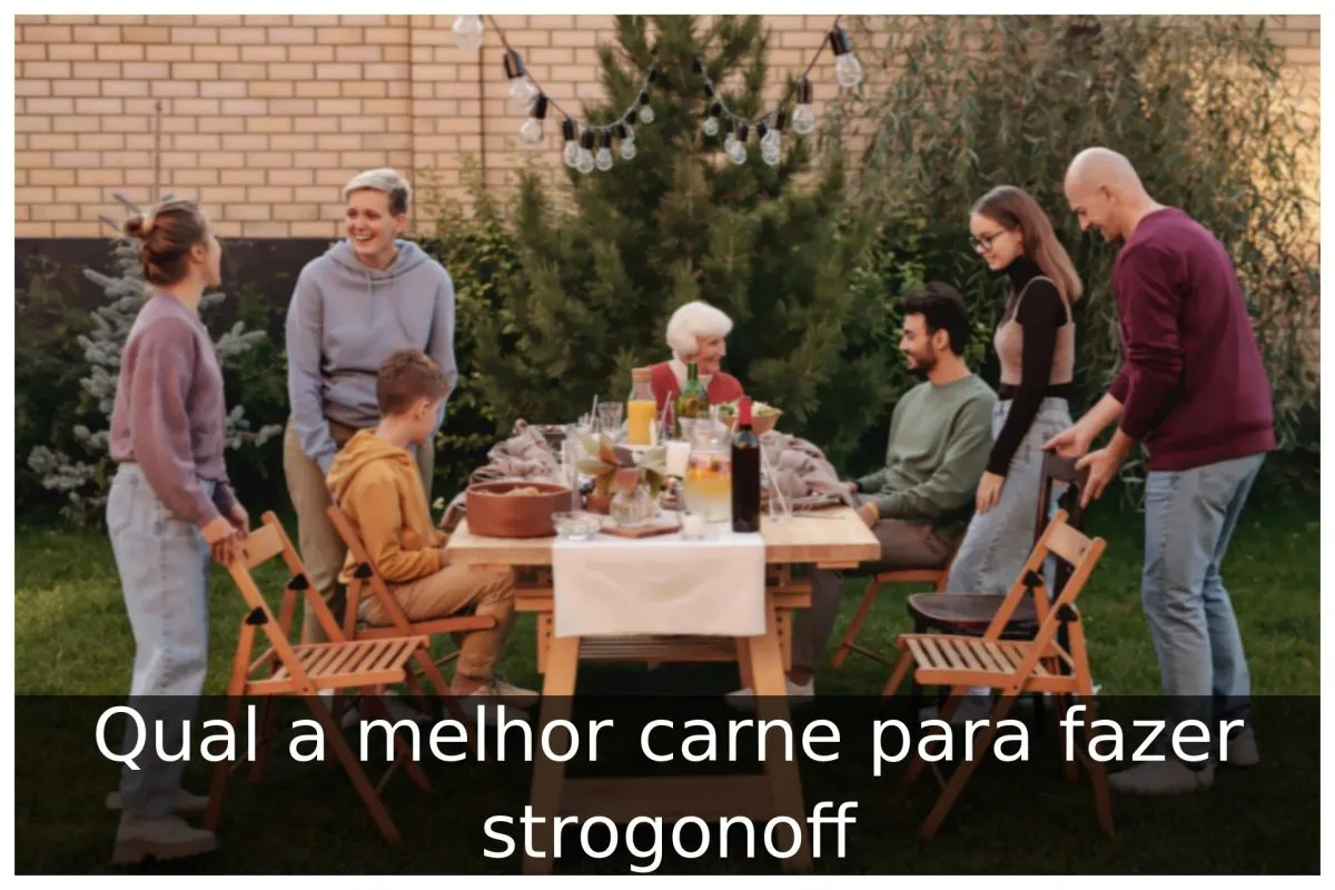 Qual a melhor carne para fazer strogonoff