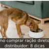 Como comprar ração direto do distribuidor: 8 dicas