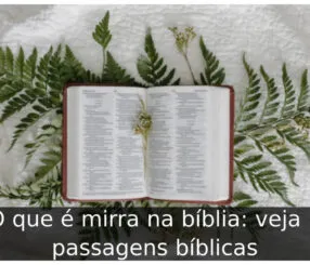 O que é mirra na bíblia