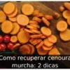 Como recuperar cenoura murcha: 2 dicas