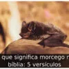 O que significa morcego na bíblia: 5 versículos