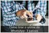 Como tirar o online do WhatsApp: 3 passos