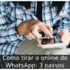 Como tirar o online do WhatsApp: 3 passos