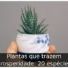 Plantas que trazem prosperidade: 20 espécies
