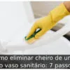 Como eliminar cheiro de urina do vaso sanitário: 7 passos