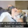 Qual o melhor shampoo da Avon: 12 opções