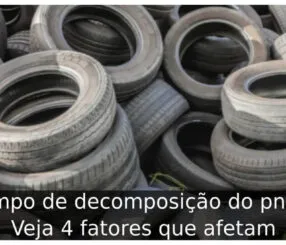 Tempo de decomposição do pneu