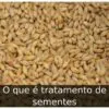 O que é tratamento de sementes
