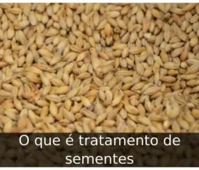 O que é tratamento de sementes