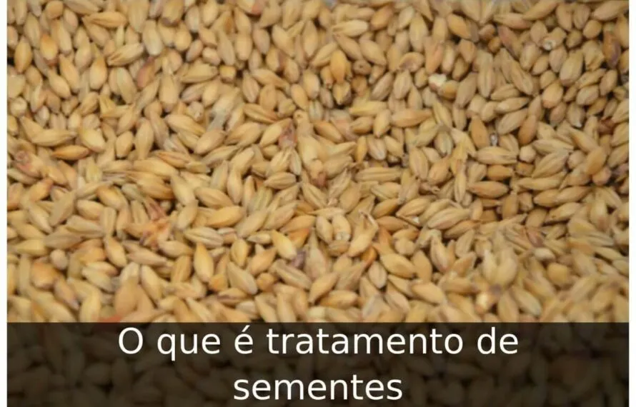 O que é tratamento de sementes