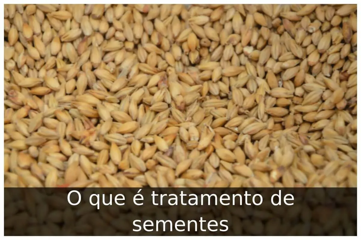O que é tratamento de sementes