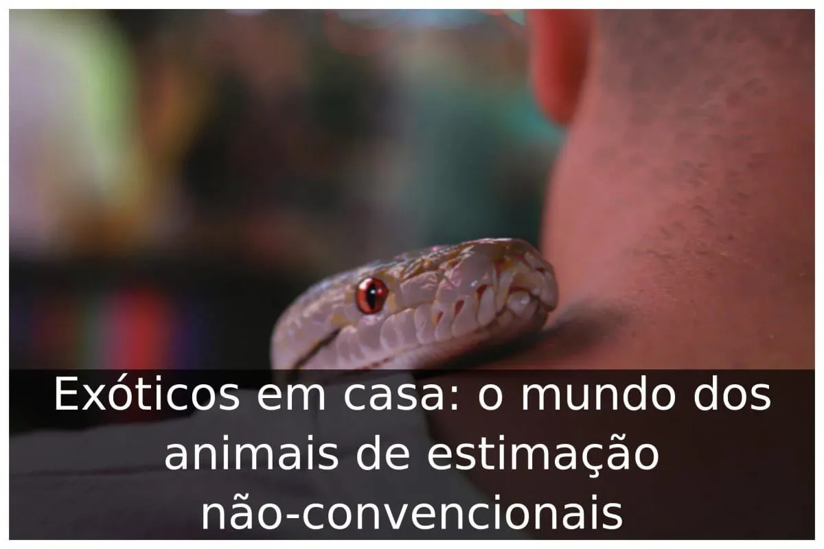 Exóticos em casa: o mundo dos animais de estimação não-convencionais
