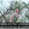 Memórias em flor: a simbologia nas cerimônias de partida