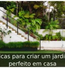 Dicas para criar um jardim perfeito em casa