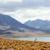 Por que contratar uma empresa de passeios no Chile é a melhor escolha para brasileiros