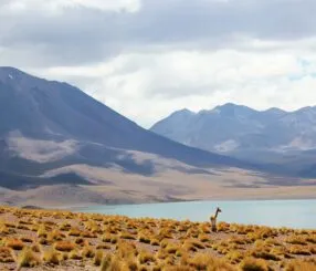 Por que contratar uma empresa de passeios no Chile é a melhor escolha para brasileiros
