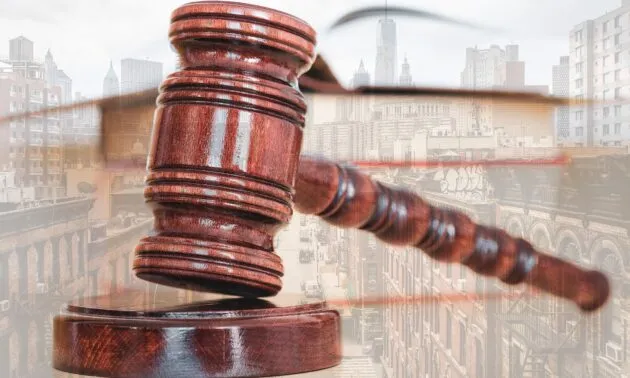 Como participar de licitações