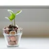 Crowdfunding: financiamento coletivo para inovações