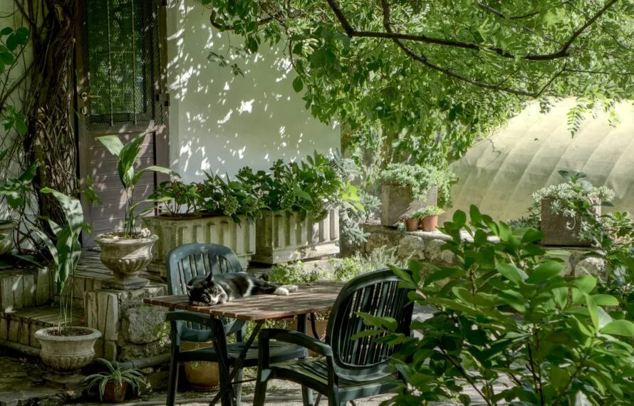 Como Transformar Jardins Pequenos com Árvores de Floração Prolongada Como Transformar Jardins Pequenos com Árvores de Floração Prolongada