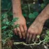 Dicas para encontrar jardineiro de confiança em São Paulo