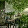 Como Transformar Jardins Pequenos com Árvores de Floração Prolongada
