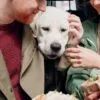 Ração para emagrecer cachorro: descubra as melhores opções