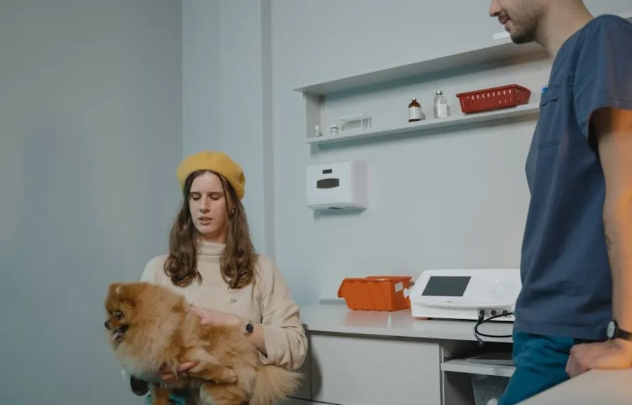 Encontre o veterinário humanizado e acessível em SP