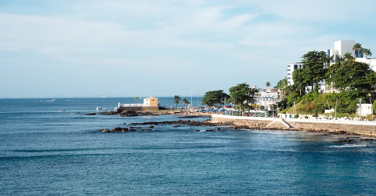 Como chegar à Praia do Forte sem complicações